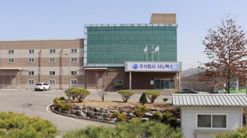 '14년째 결손금' 시노펙스, 베트남 공장으로 재기 노릴까 - 뉴스 썸네일 이미지